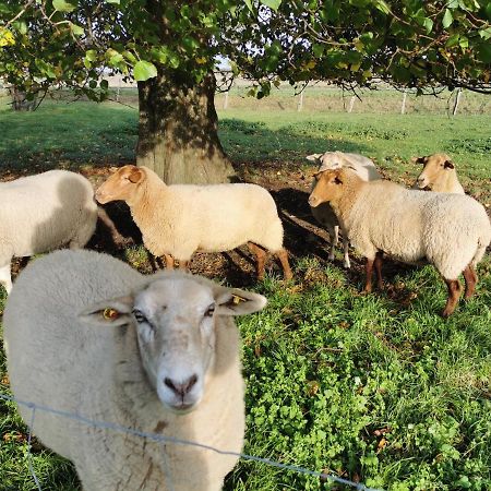 Ferienhof Stobbe Grube ภายนอก รูปภาพ