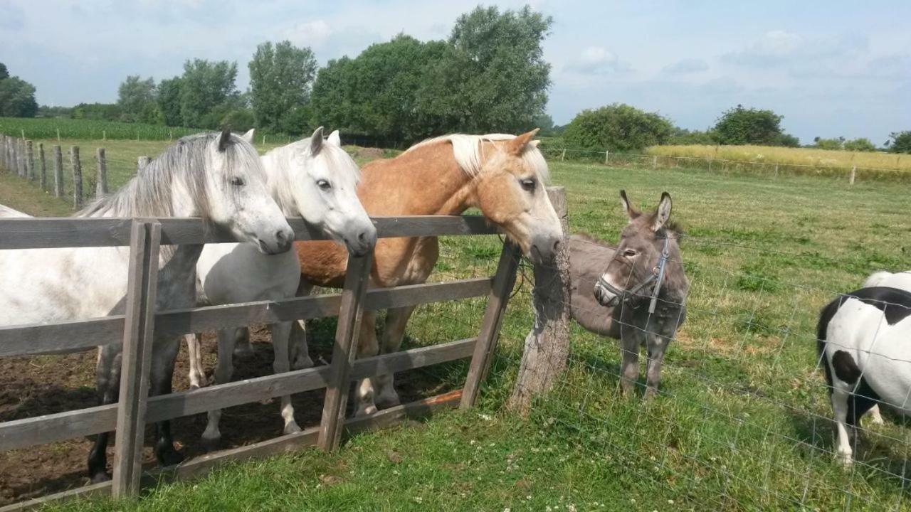 Ferienhof Stobbe Grube ภายนอก รูปภาพ