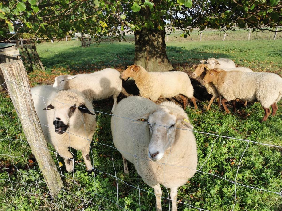 Ferienhof Stobbe Grube ภายนอก รูปภาพ
